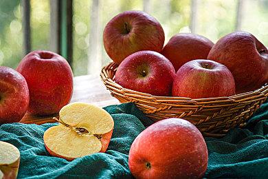 建造模拟游戏《二战重建者》 在Steam推出免费试玩序章